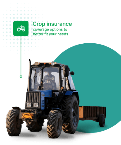 Insurance Image