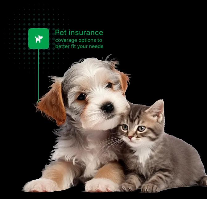 Insurance Image